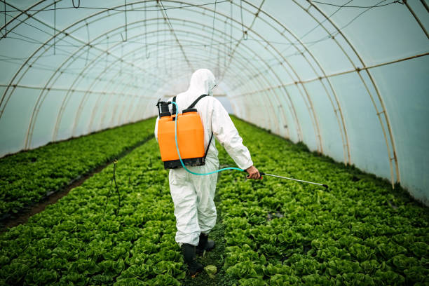 Best Pest Control Near Me in High Bridge, NJ