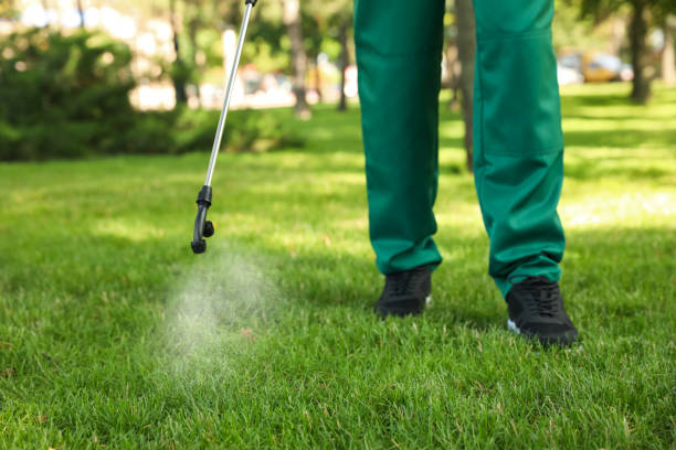 Best Mosquito Control Services  in High Bridge, NJ