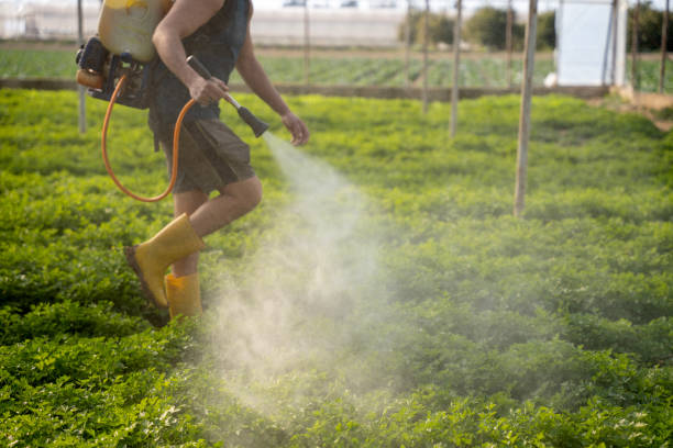 Best Affordable Pest Control Services  in High Bridge, NJ