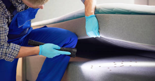 Pest Control Cost in High Bridge, NJ
