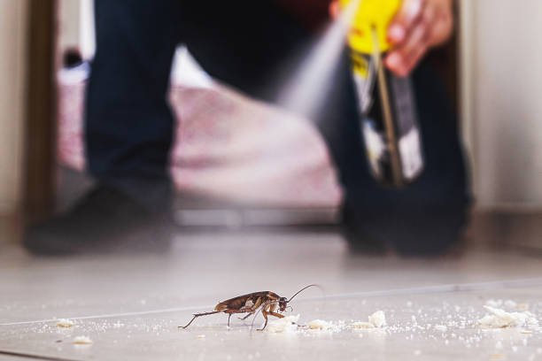 Best Pest Inspection Near Me  in High Bridge, NJ